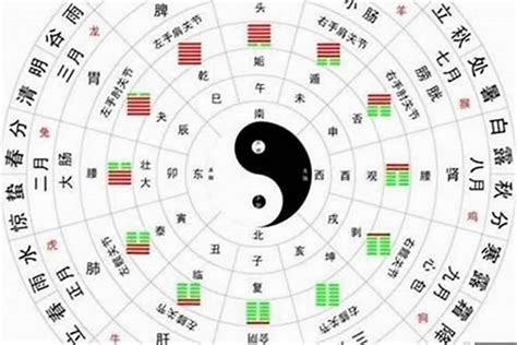 八字五行查詢|八字五行查詢